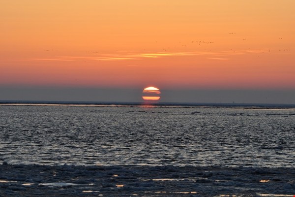 Overnachten in een boutique hotel op de Wadden: waarom Vlieland zo goed past bij een feelgood weekend